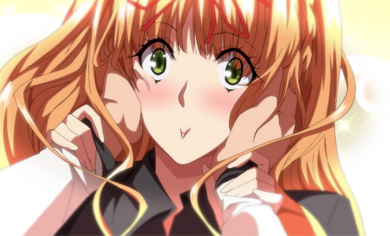 マスターピース THE ANIMATION 第1巻【h_1379jdxa57522】