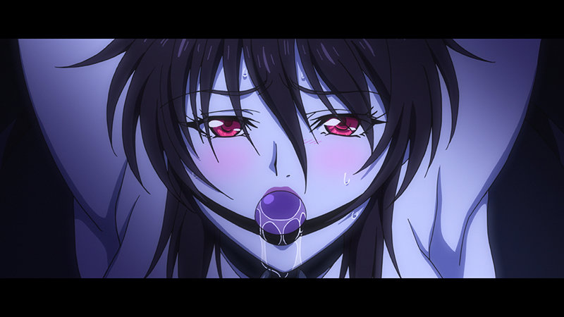 対魔忍不知火～淫欲の奴●娼婦～【h_826zizd00019】