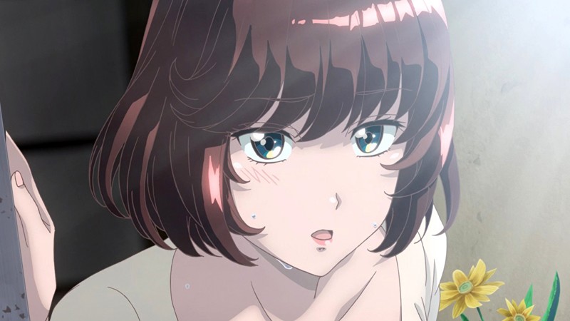 じょしおちっ！～2階から女の子が…降ってきた！？～【プレミアム版】（全話セット）【h_1326wa00208】